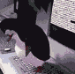 Twister