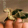 Smoker