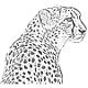 aliaksei1818