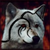 IgorMxl