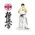 ronin_f