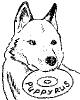 nik