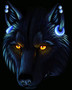 volk
