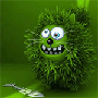 hedgeven